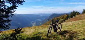 Appartements Gite de Montagne 