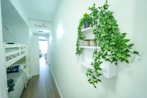 Aparment 2nd floor 5 minutes from Disney