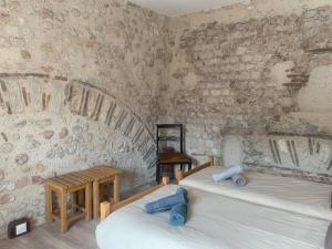 Maisons de vacances Palais PepinleBref Loire Valley castles Tours : photos des chambres