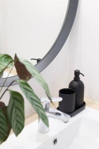 Appartements LA BELLE ROSE - Appartement 4 personnes proche gare Bordeaux : photos des chambres
