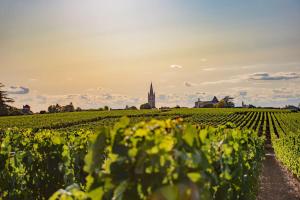 Appartements LA BELLE ROSE - Appartement 4 personnes proche gare Bordeaux : photos des chambres