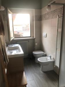 Il nido dello scricciolo