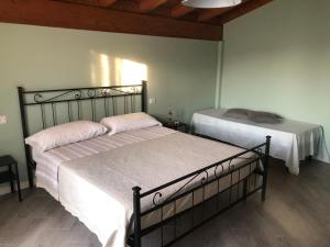 Il nido dello scricciolo