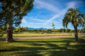 Appartements Golf Saint Cyprien ground floor 2 bedrooms Apartment with terrace : photos des chambres