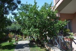 LOasi delle Vigne