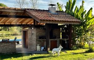 Villas Le parc de Gouts : photos des chambres