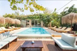 Turdus Merula Retreat - Nea Makri