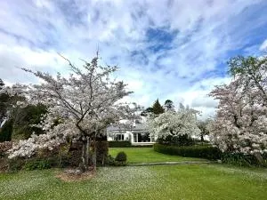 Whiteacres - Invercargill