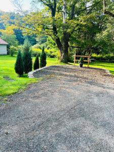 Homesteading at 55 main