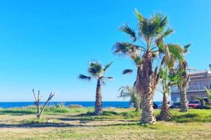 Mar Azul Adosado, patio y solarium