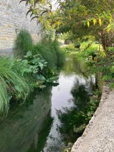 B&B / Chambres d'hotes Les Cygnes Noirs : photos des chambres