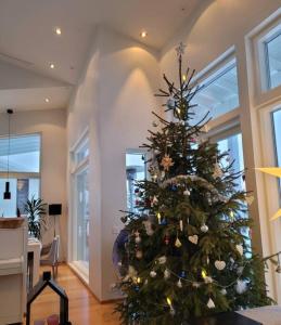 Luxury residence in Rovaniemi