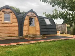 Owl Glamping Pod - 马奇温洛克