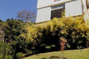 Loft em Petrópolis