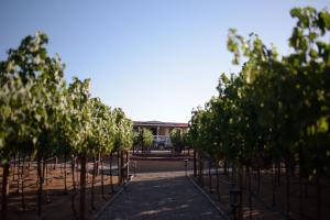 3333 Luz Del Valle Hotel Boutique