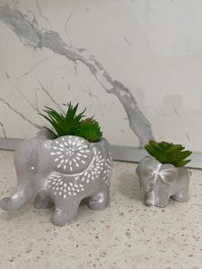 Sun Tower Apartments