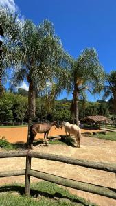 Pousada das Hortênsias