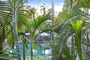 Discover a Scandi Style Pool Retreat in Nightcliff