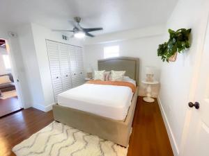 New Miami Boutique, by Calle Ocho and South Beach!
