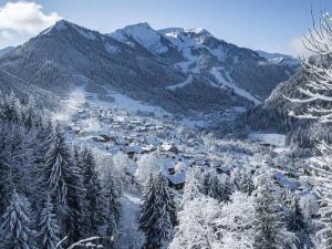 Studio confortable à 20m des remontées mécaniques, 3 personnes - FR-1-676-110