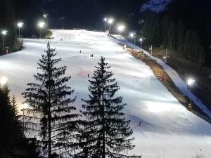 Studio 4 Pers, Proche Télésiège, Balcon Sud - FR-1-676-98