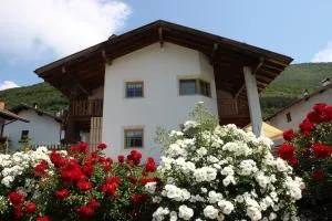 B&B Primavera - Spormaggiore