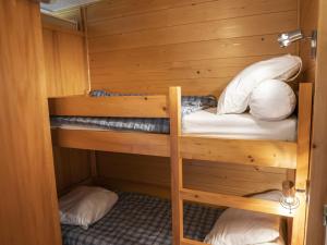 Studio 4 pers. à Châtel, parking et animaux admis - FR-1-676-130