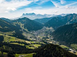 Appartements Studio Chatel, 1 piece, 3 personnes - FR-1-676-154 : photos des chambres