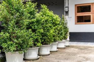 Socialer Coliving & Coworking Space