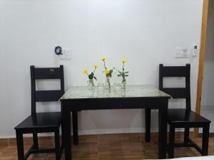 GREEN TOWN hotel HỘI AN