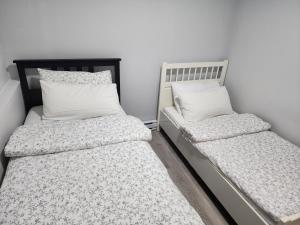 Blissfull Two Bedroom Suite Near surrey centre