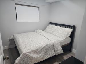 Blissfull Two Bedroom Suite Near surrey centre