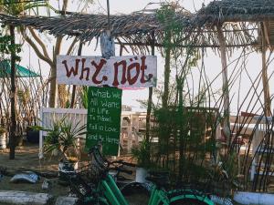 Why Not Bar And Bungalows #2