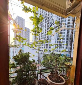 Nhà Nghỉ Hương Thúy - TTTM Royal City