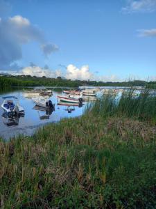 Studio 2 The Waterclub