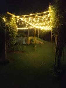 Private room in Retreat by Walias Farm Stay