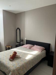 Appartements Superbe appartement plein centre : photos des chambres