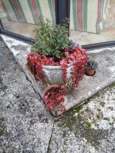 B&B / Chambres d'hotes Le Grand Chemin de La Vie : photos des chambres