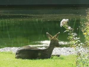 ScraB&Ble Ecologische gastenkamers