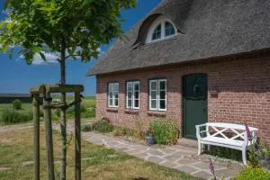 Urlaub in Nordfriesland Wohnung Klaar Kimming - Hattstedtermarsch