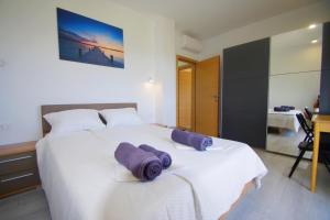 Villa with private pool in village Šišan