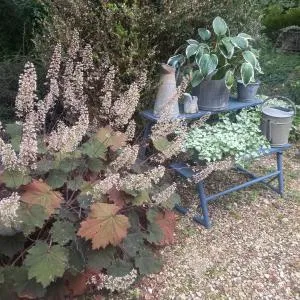 Les Insolites - Varvinay