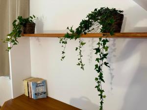 Domaine de Couilleuse