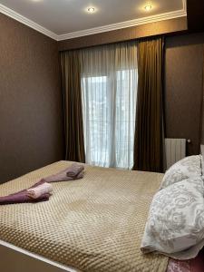 apartments in the new city 2