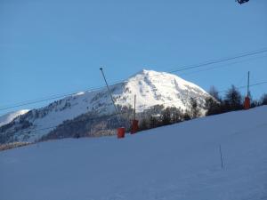 Appartements Appartement confortable, skis aux pieds avec balcon - FR-1-181-2486 : photos des chambres