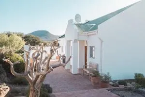 Drie Kuilen Nature Reserve - Bierberg