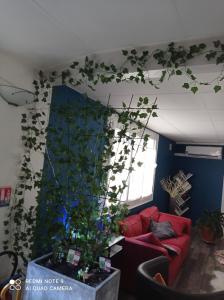 B&B / Chambres d'hotes L'Estuaire : photos des chambres