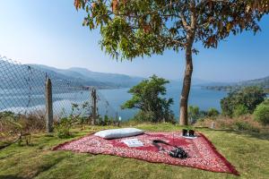 Twist, Tiny home on the Cliff