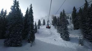 Chalets Classy Alpine Hideaway in the Portes du Soleil : photos des chambres