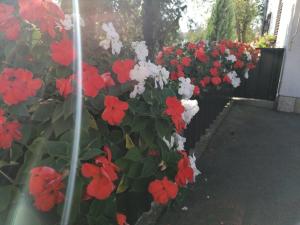 Studio Apartman Barbara